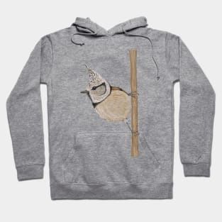 Crested tit Hoodie